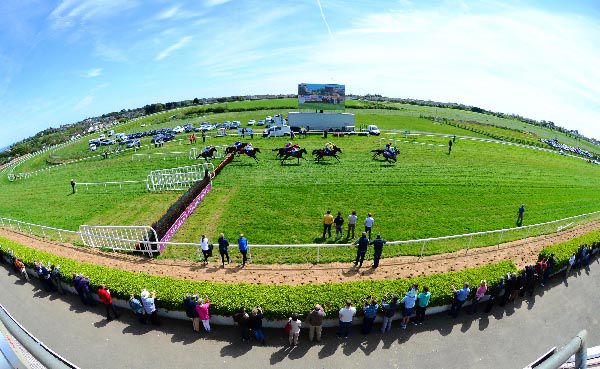 Wexford racecourse