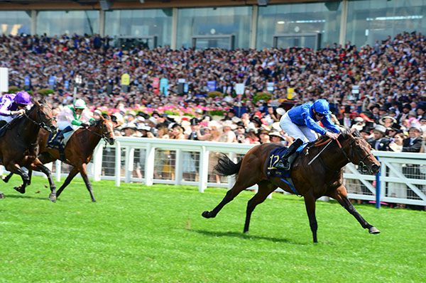 Pinatubo winning last year's Chesham Stakes when ridden by James Doyle