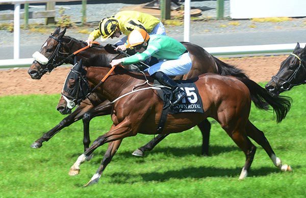 Very Smart gets up from Canford Art