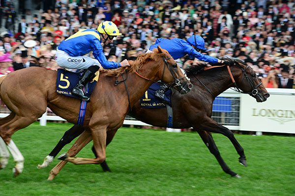 Dream Of Dreams (near side) finishing runner-up to Blue Point at Royal Ascot