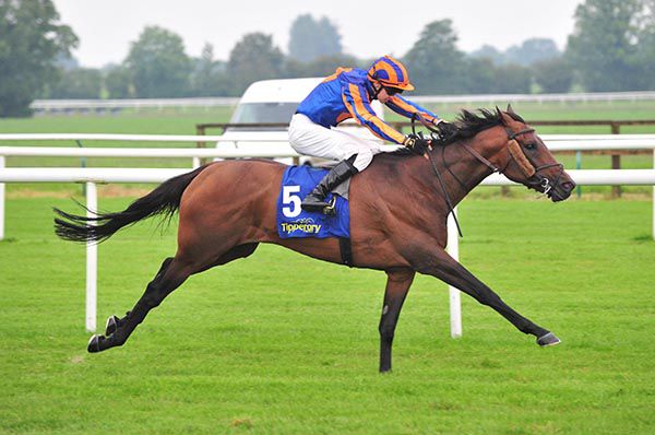 Kangaroo Valley and Donnacha O'Brien win easily