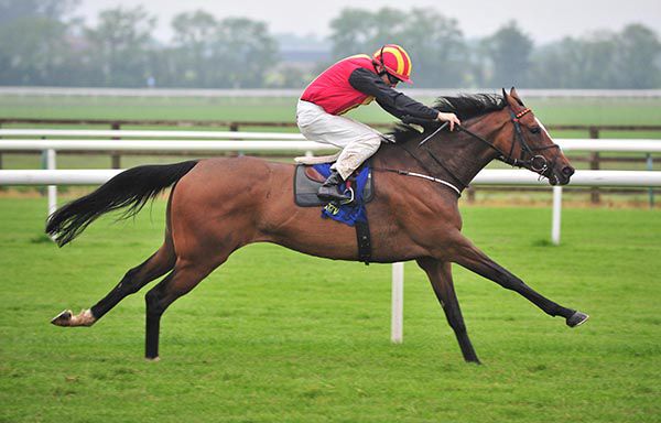 Galeola wins well under Robbie Colgan