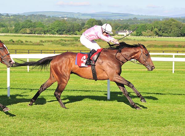 Count D'orsay is ridden out by Wayne Lordan