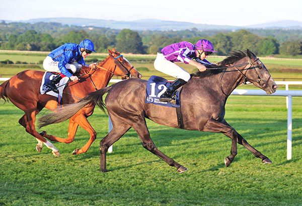 Simply Beautiful is ridden out by Donnacha O'Brien