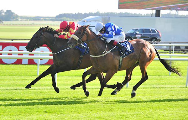 WAR DIARY (red and yellow) and Niall McCullagh winning at the Curragh in June
