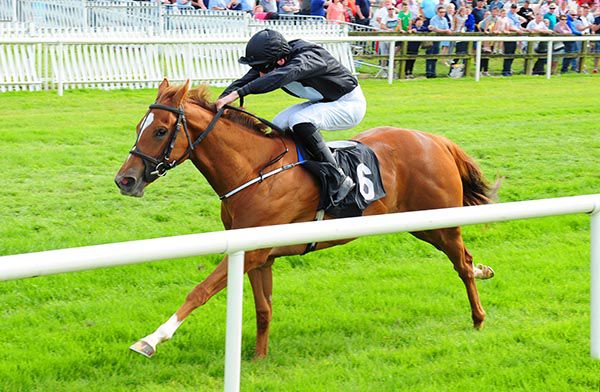 Millisle is pushed out by Tom Madden