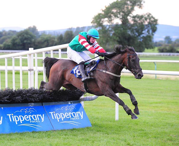 Courtin Bb clears the last under Mikey Hamill