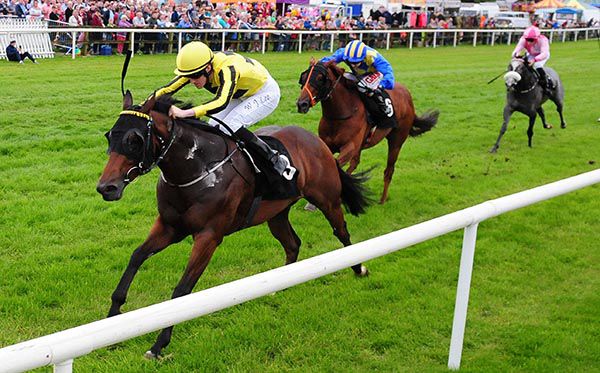 Enough Said in charge