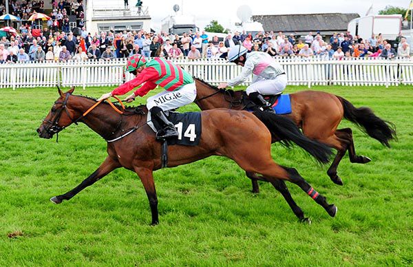 Aasleagh Fawn beats Eight And Bob