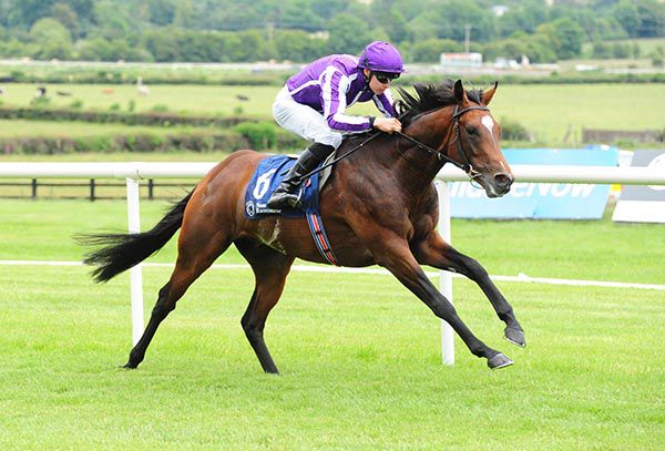 Year Of The Tiger (Donnacha O'Brien) strides clear for an impressive win