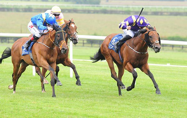 Claim The Lady (cheekpieces) is ridden out by Tom Madden to beat Finding Nero