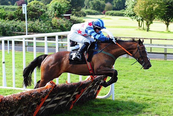 Cailean's Angel jumps the last under Darragh O'Keeffe