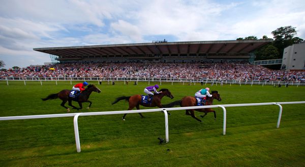 Enable (right) defeating Magical in last year's Coral-Eclipse at Sandown Park