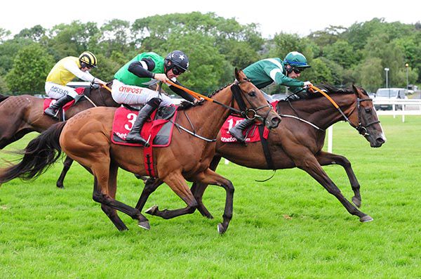 Smiling Eliza (nearside, Davy Russell) just got the better of Give Battle and Kevin Brouder