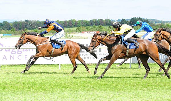 Celtic Dancer, yellow, hits his stride to collar Ard Na Carraig