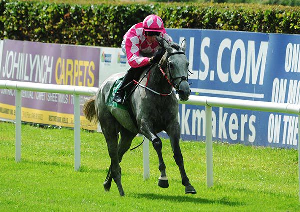 Maricruz and Ross Coakley 