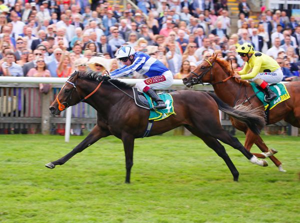 Mystery Power (left) winning the Group 2 Superlative Stakes at Newmarket