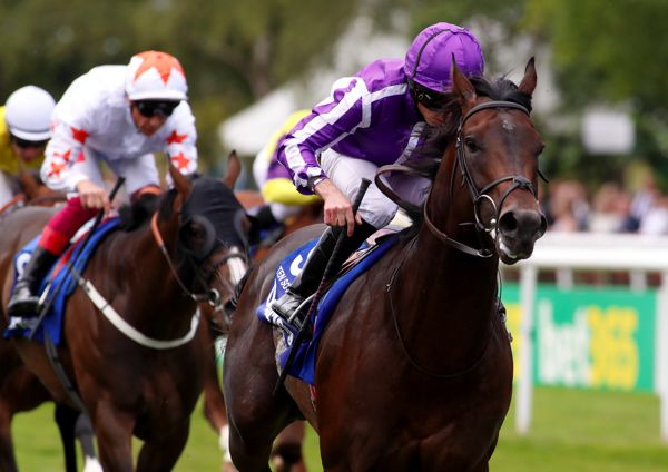 Ten Sovereigns beating Advertise (blinkers) in the July Cup at Newmarket.