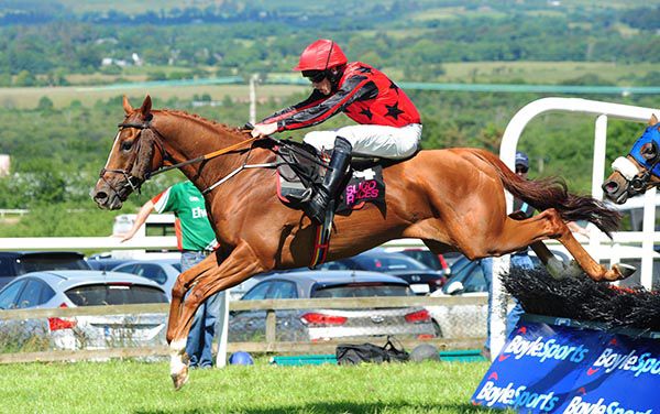 Mandarin Monarch and Dillon Maxwell jump the last