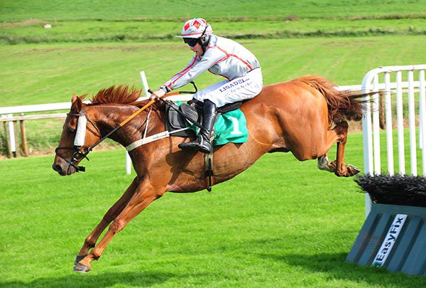 Happy Lad clears the last under Adam Short