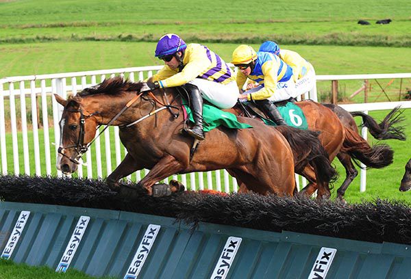 Canadian Steel jumps the last under Conor Orr