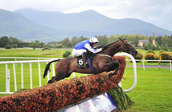 Robin De Carlow jumps the last under David Mullins