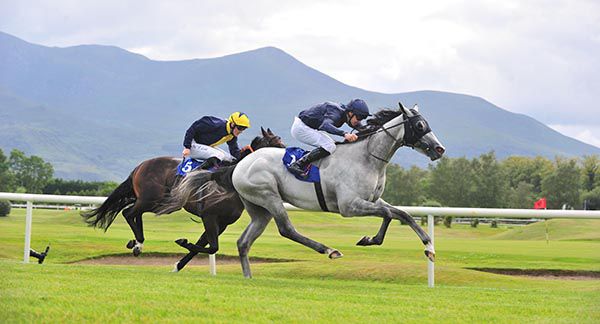 Dunkirk Harbour goes on from Rhydwyn