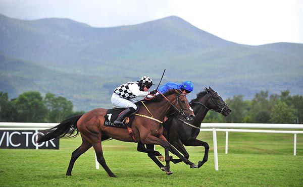 Glint In Her Eye, far side, just gets the better of Celine Soprano
