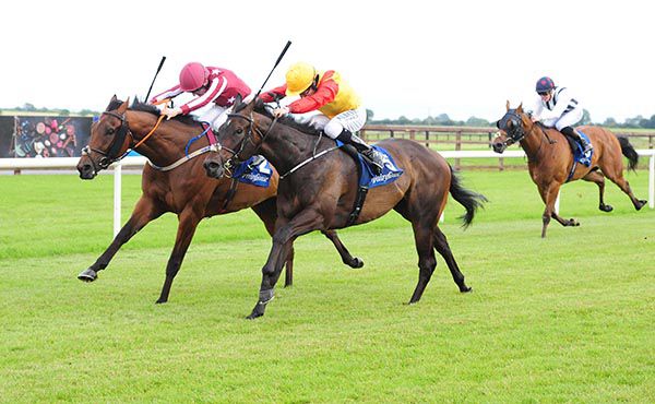  NOBEL JOSHUA and Chris Hayes (far side) land the www. fairyhouse.ie Claiming Race from the favourite Bar Room Bore 