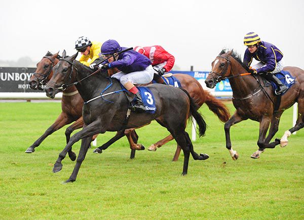 Reeking Havoc and Liam McAteer emerge on top