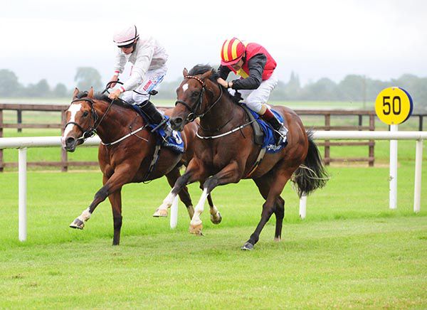 Prince Of Naples (right) comes to claim Think Big
