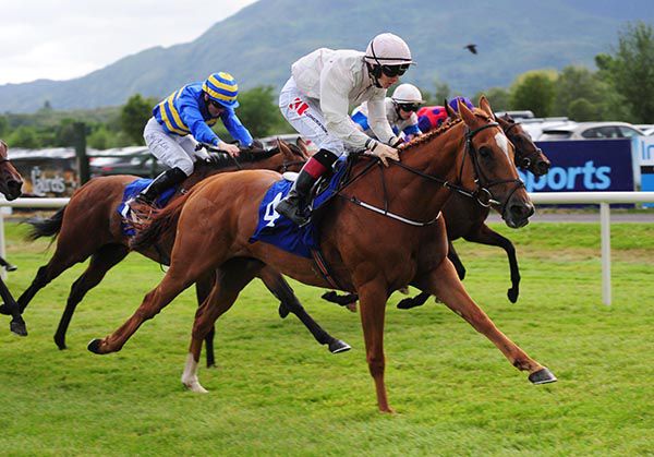 SHARP FOCUS and Colin Keane land the Grand Hotel Handicap at Killarney