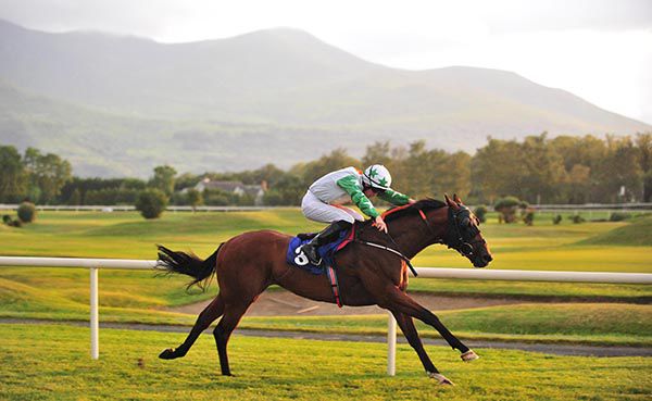 ROYAL ADMIRAL and Tom Madden win The Dorothy Henggeler Memorial Handicap for Ado McGuinness