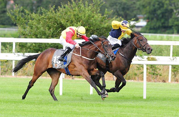 Brunelle and Wayne Lordan (near) beat For The Trees