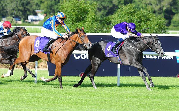 Howling Wolf and Ronan Whelan beat Santiago