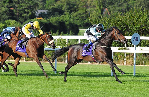 Super Treat pictured on his way to victory at Leopardstown