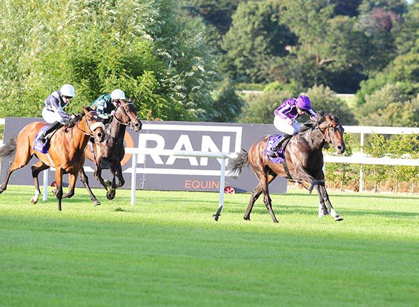 Mohawk and Donnacha O'Brien in charge