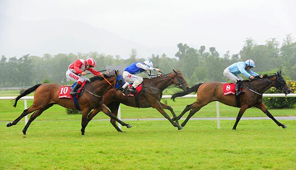 SHOULDA LIED and Colin Keane (royal blue, white sleeves) outstay rivals at Killarney.