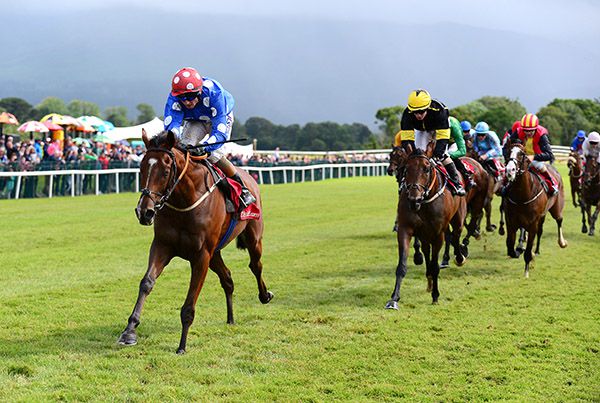  FRANKLYN and Chris Hayes win for trainer Aidan Howard at Killarney