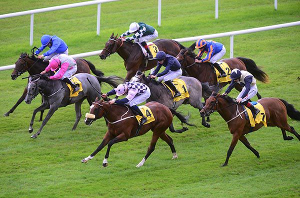 Roman Turbo (noseband) winning the Group 3 Anglesey Stakes in July.