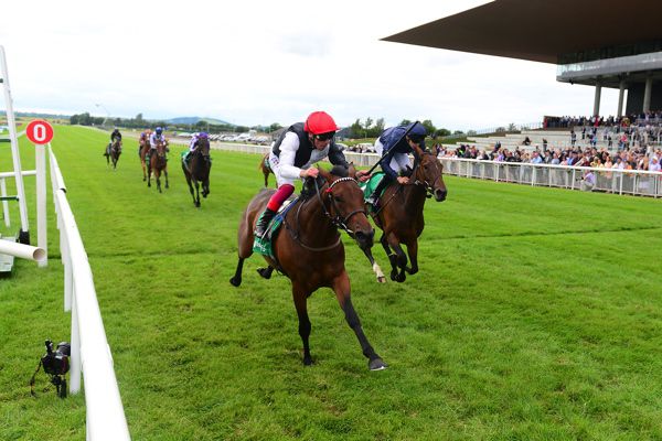 Star Catcher (nearside)
