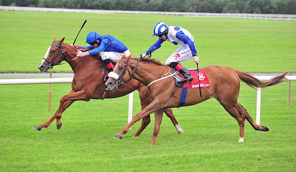 Mater Matatu (inside) is ridden out by Kevin Manning to beat Scorched Earth