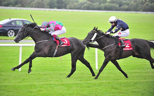 Ideal Pal and Nathan Crosse lead home Insane Bolt