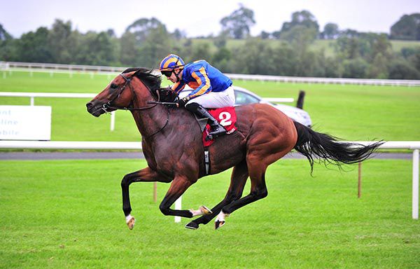 Turnberry Isle powers home under Donnacha O'Brien