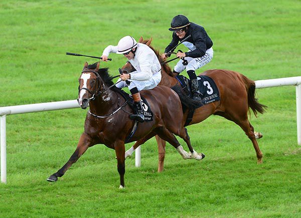 Think Big hangs in on Millisle (Shane Foley) but gets home in front under Robbie Colgan