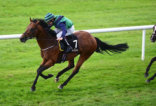 Abstraction and Shane Foley