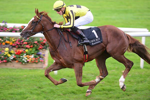 Next Stop Broadway and Shane Crosse