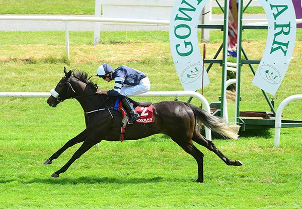 Minnie Haha is clear at the line under Tom Madden