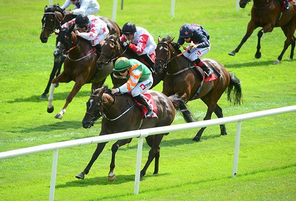 A Few Bob Short (Leigh Roche) finishes strongly on the stands' side