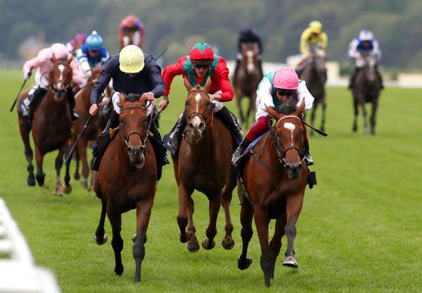 Enable (right) winning the 2019 King George from Crystal Ocean (left) and Waldgeist